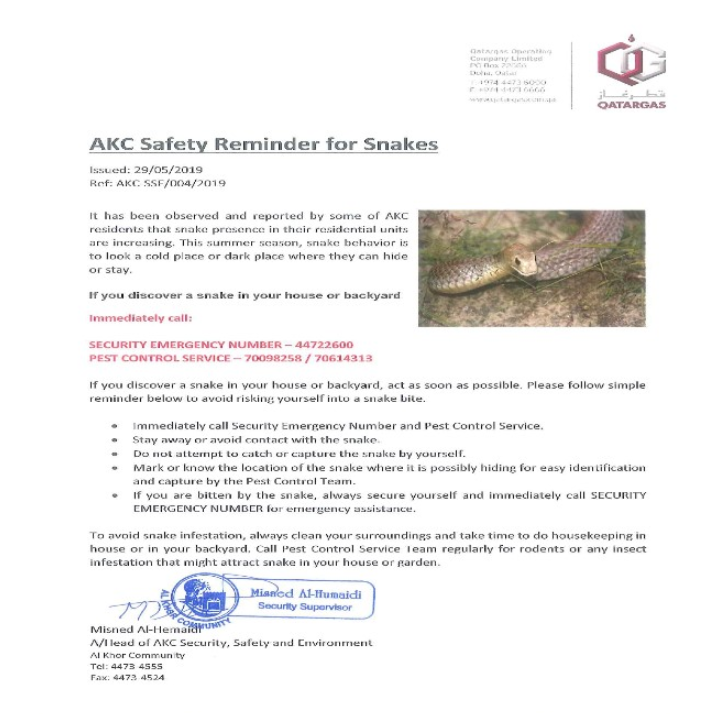 Safety Reminder for Snakes