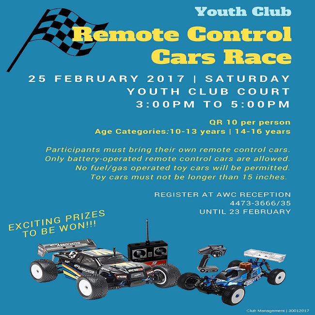 Remote Control Cars Race